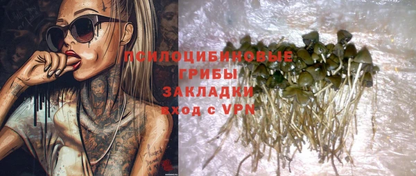 гидропоника Михайлов